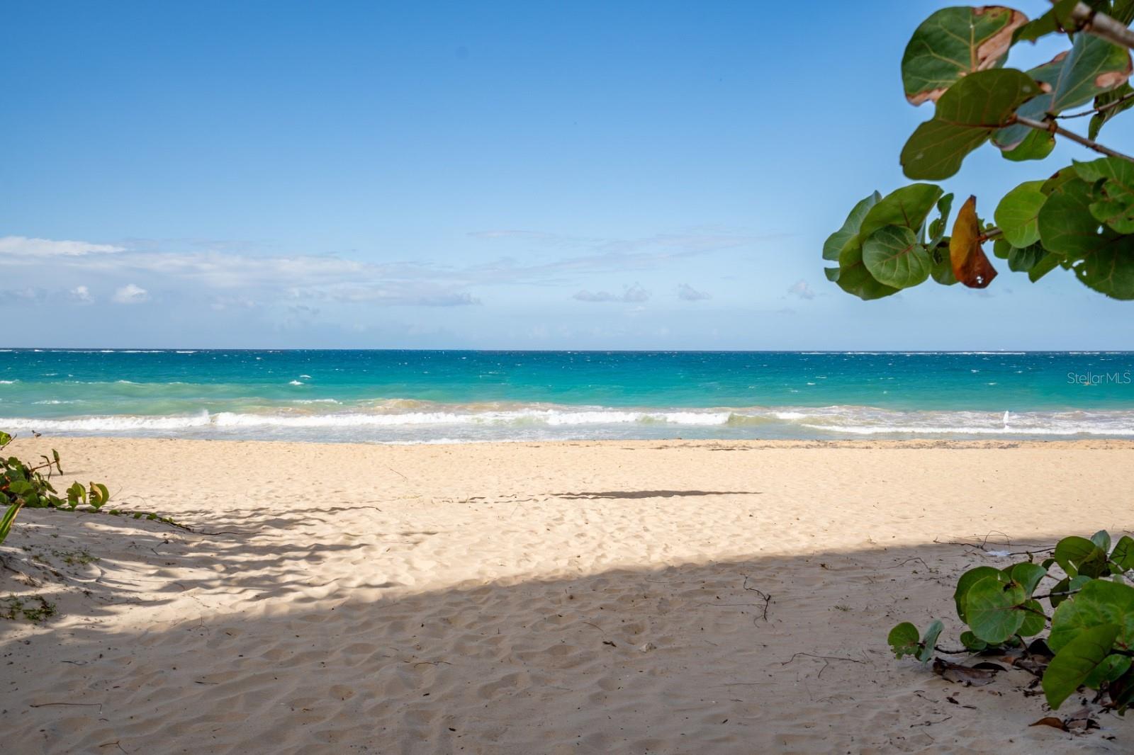 56 CALLE F KRUG CONDADO #3