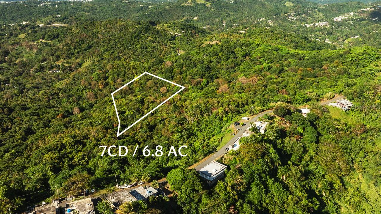 Carr 853 BO. CACAO LOTE 15