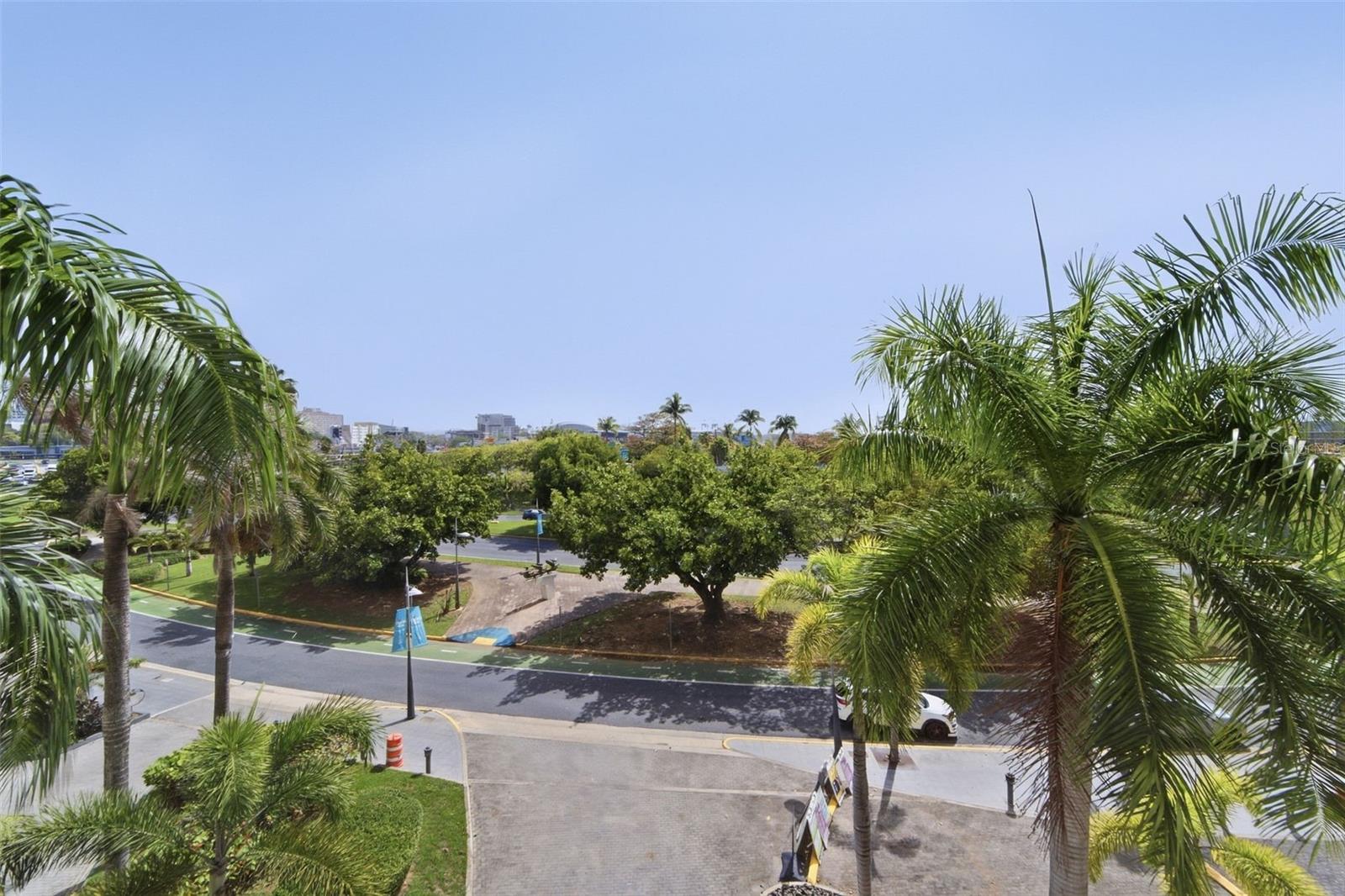 25 AVE LUIS MUÑOZ RIVERA #419