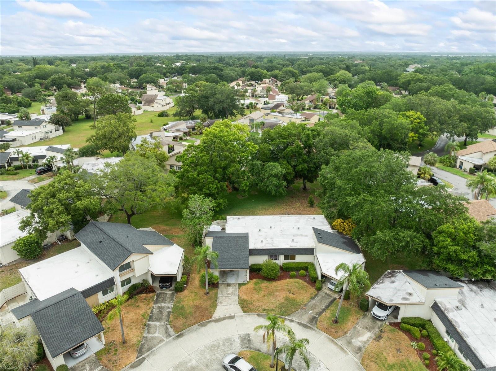 2565 FOREST RUN CT #147A