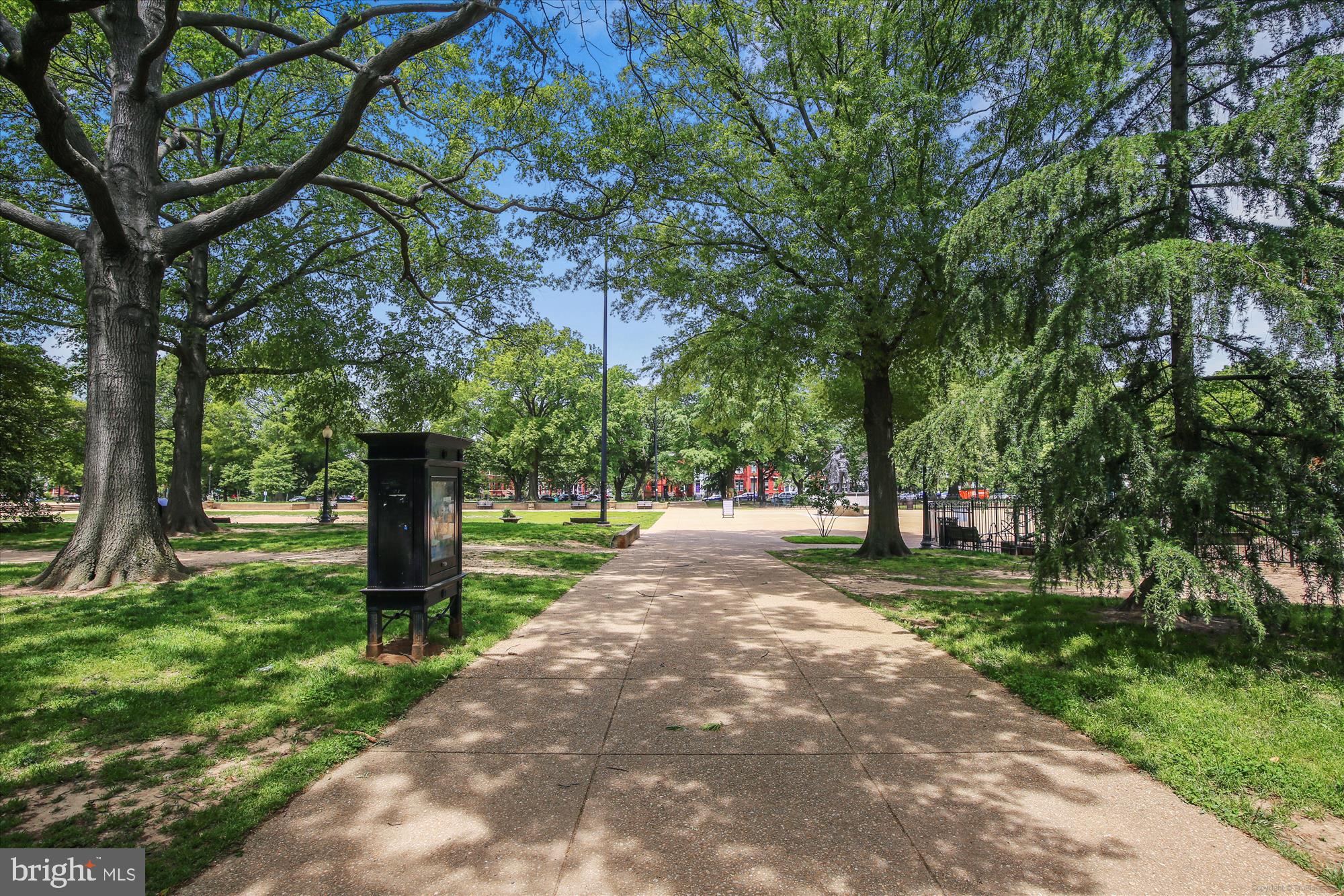 703 MARYLAND AVENUE NE