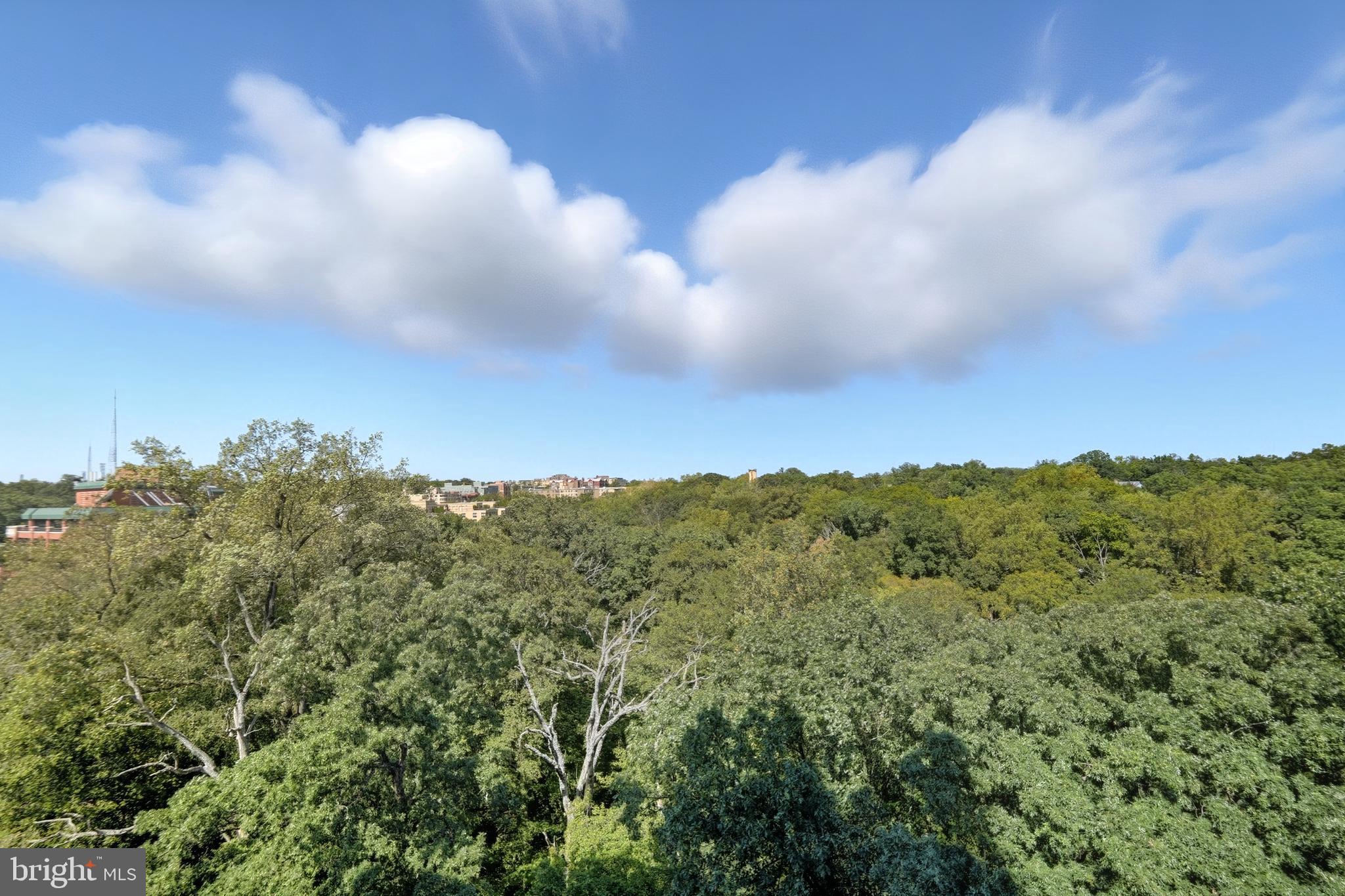 3001 VEAZEY TERRACE NW 1102