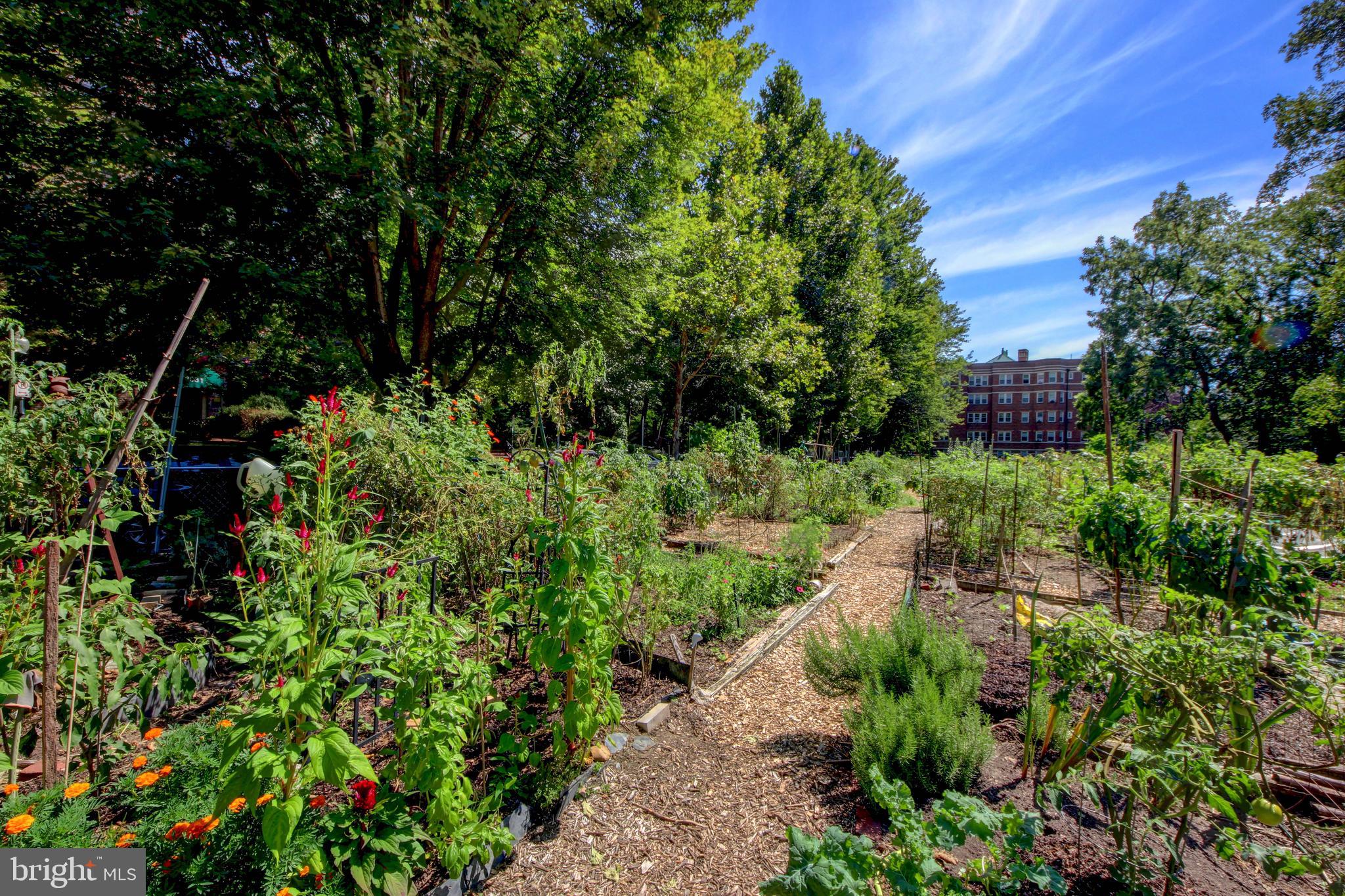 3031 SEDGWICK STREET NW 102-E