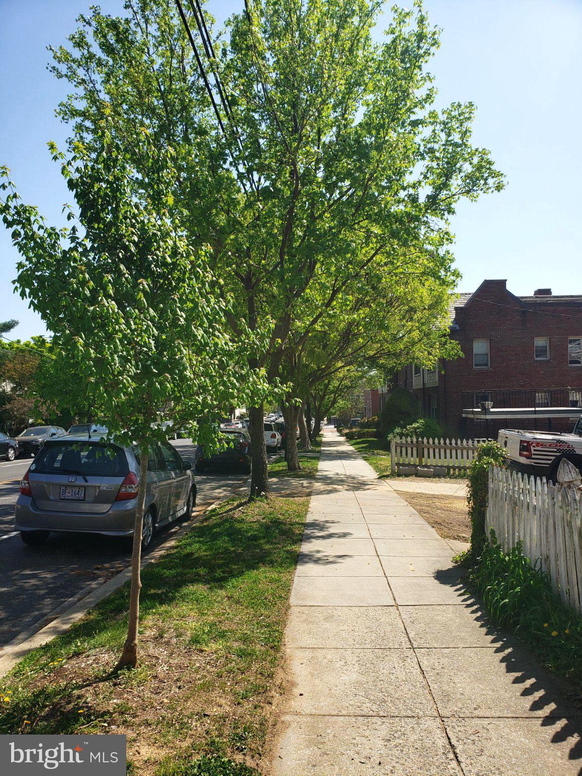 422 BUTTERNUT STREET NW T-3