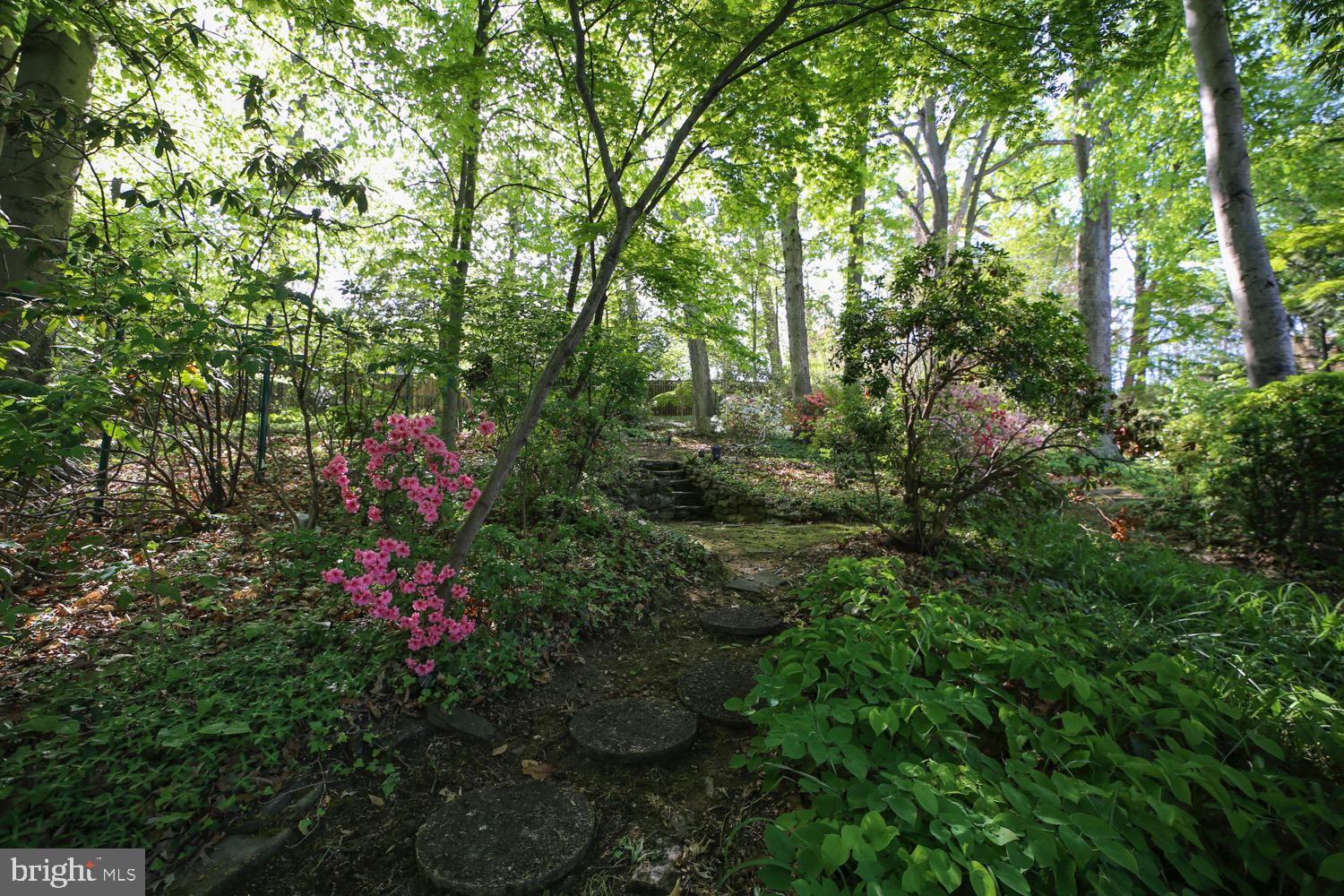 2824 ELLICOTT STREET NW