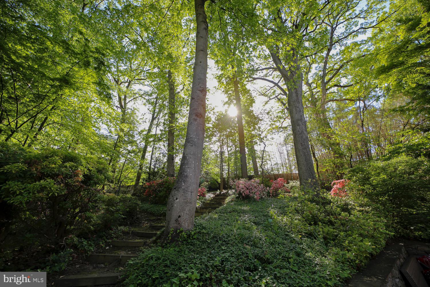 2824 ELLICOTT STREET NW