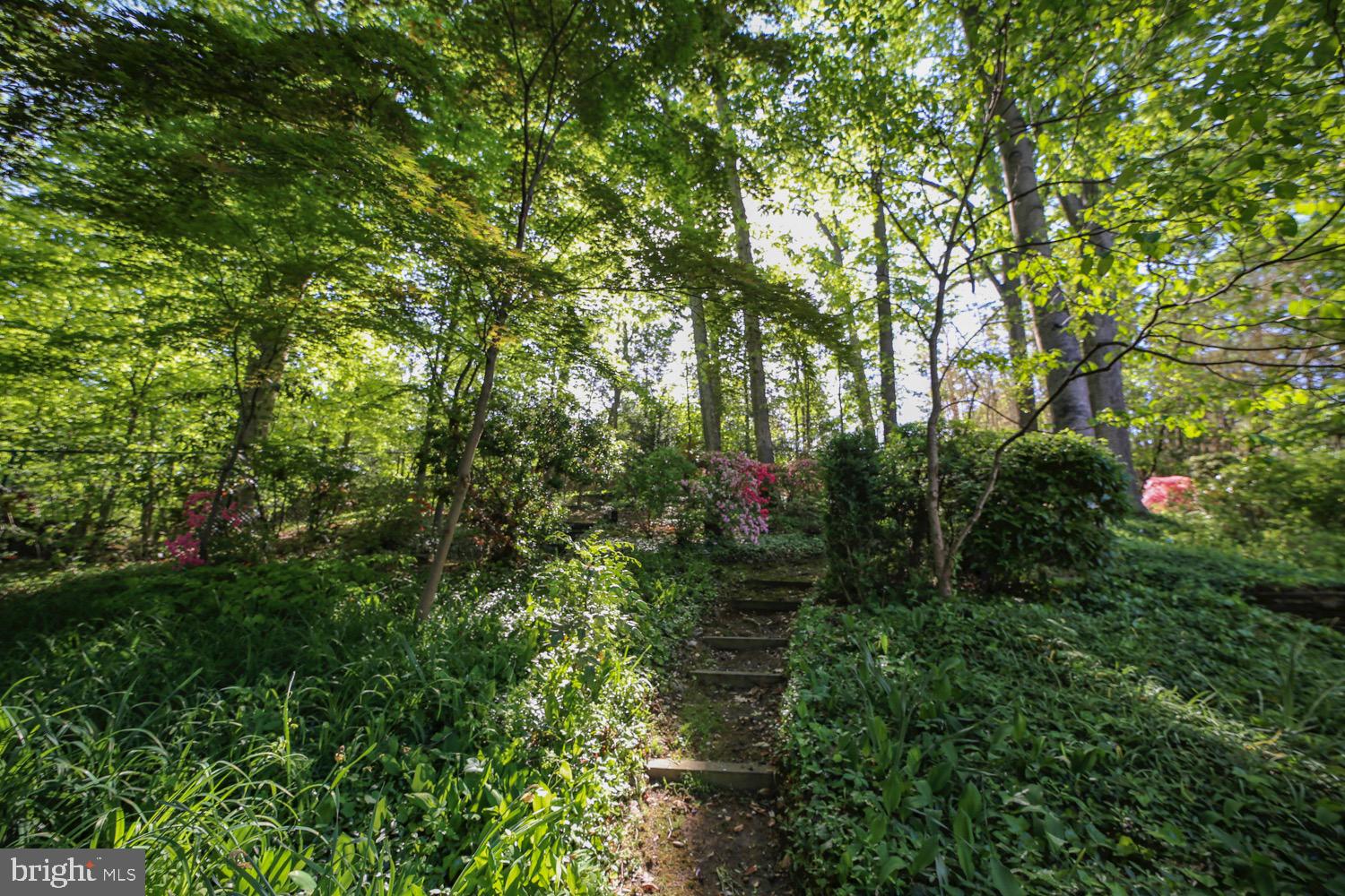 2824 ELLICOTT STREET NW