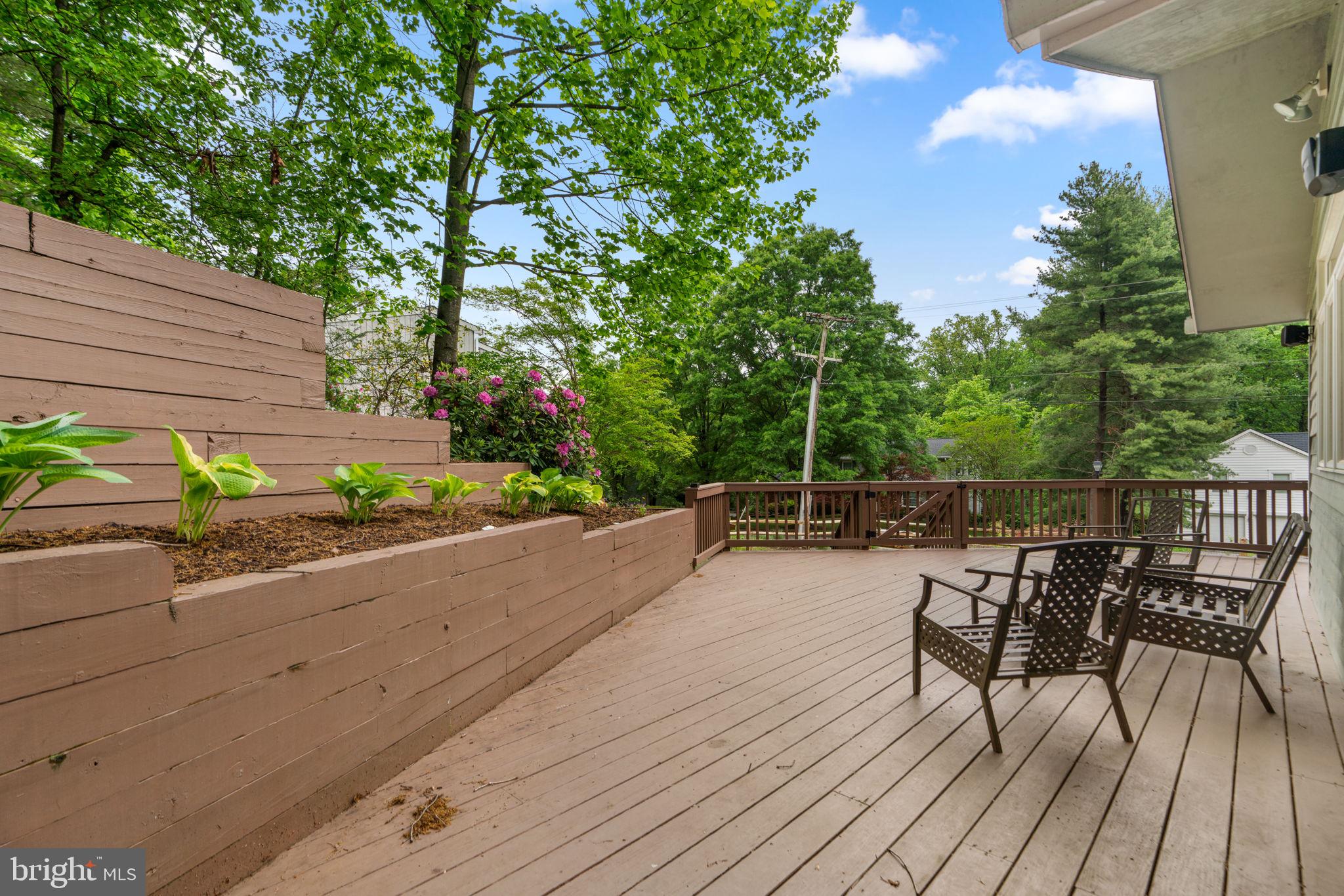 646 OWL COURT