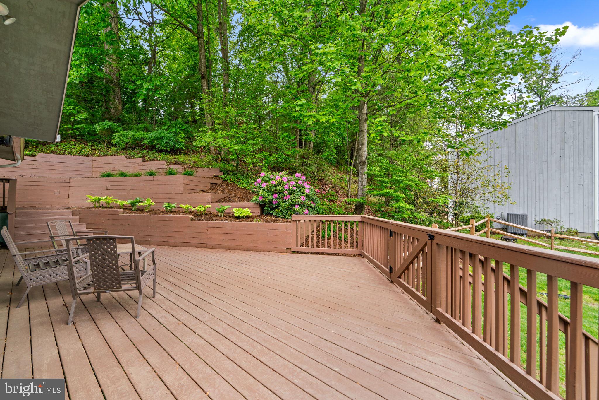 646 OWL COURT
