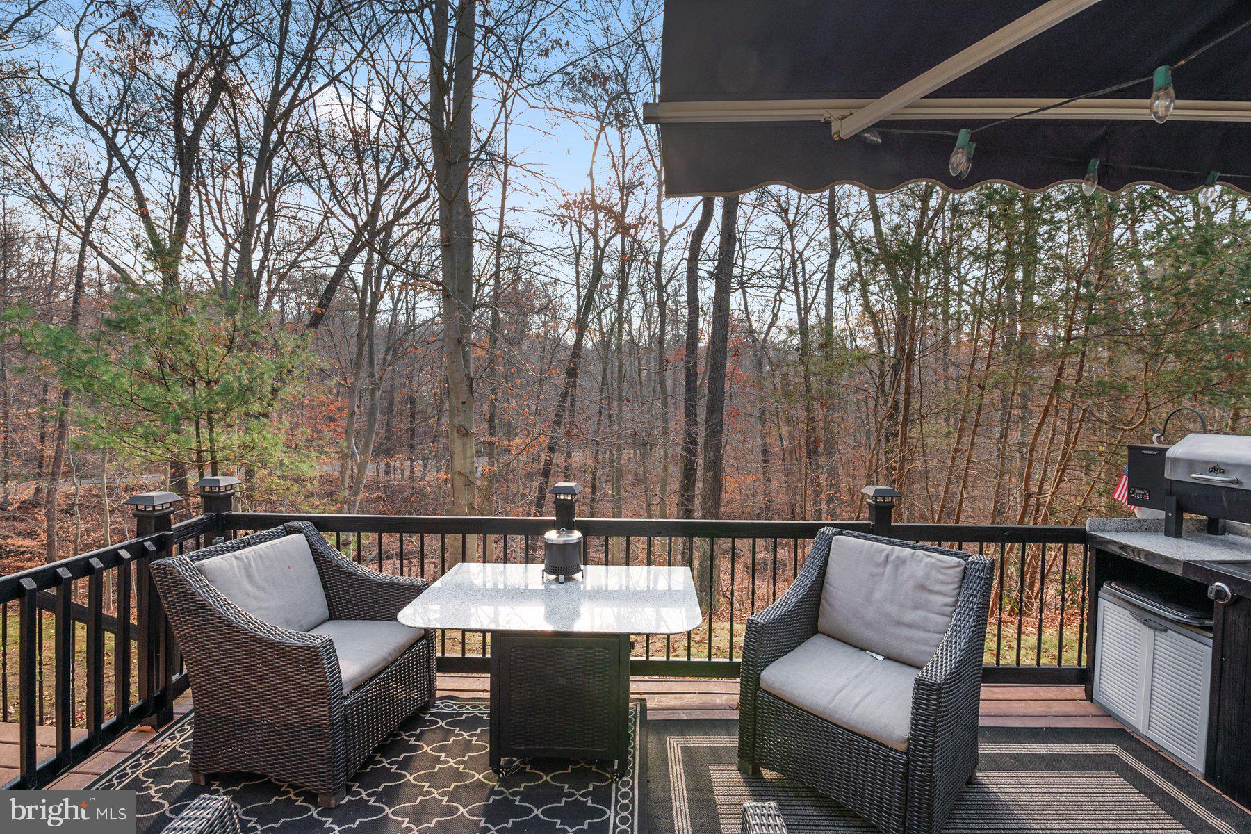 857 THICKET COURT