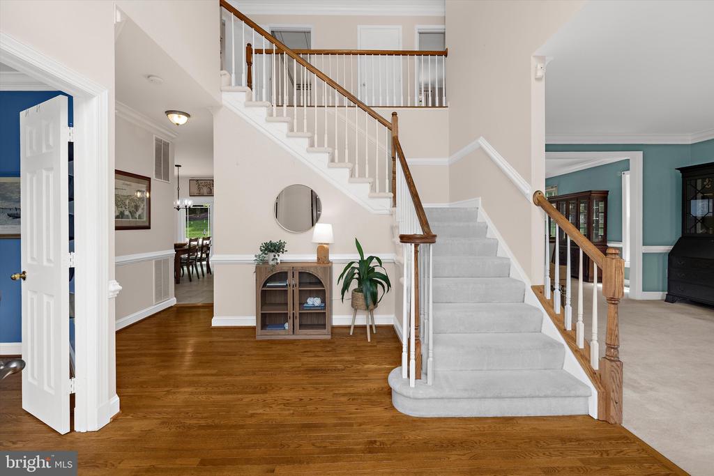 204 MAPLE CREEK LANE