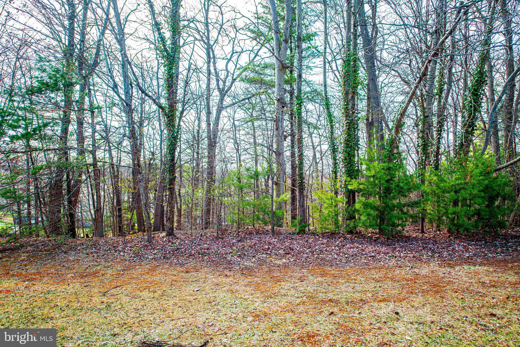 3230 PINE CREST COURT