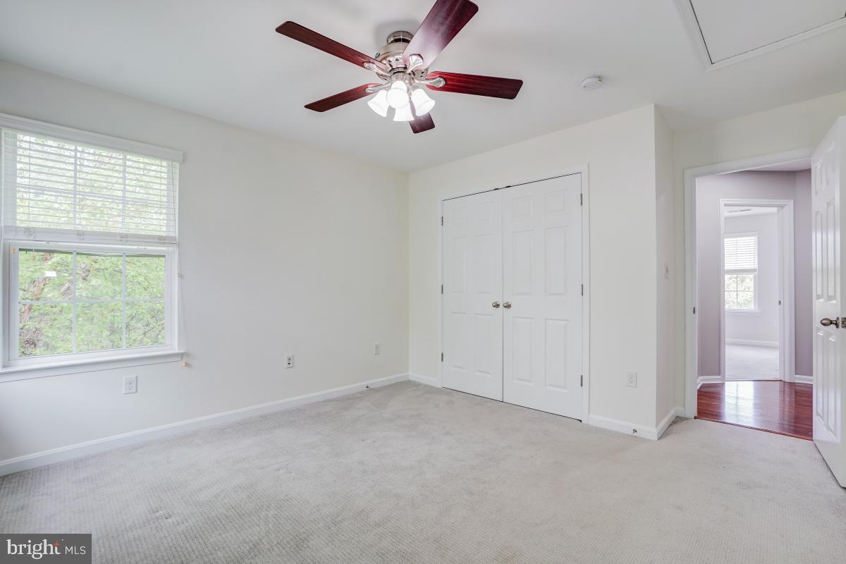 6038 JOSEPH SCOTT DRIVE