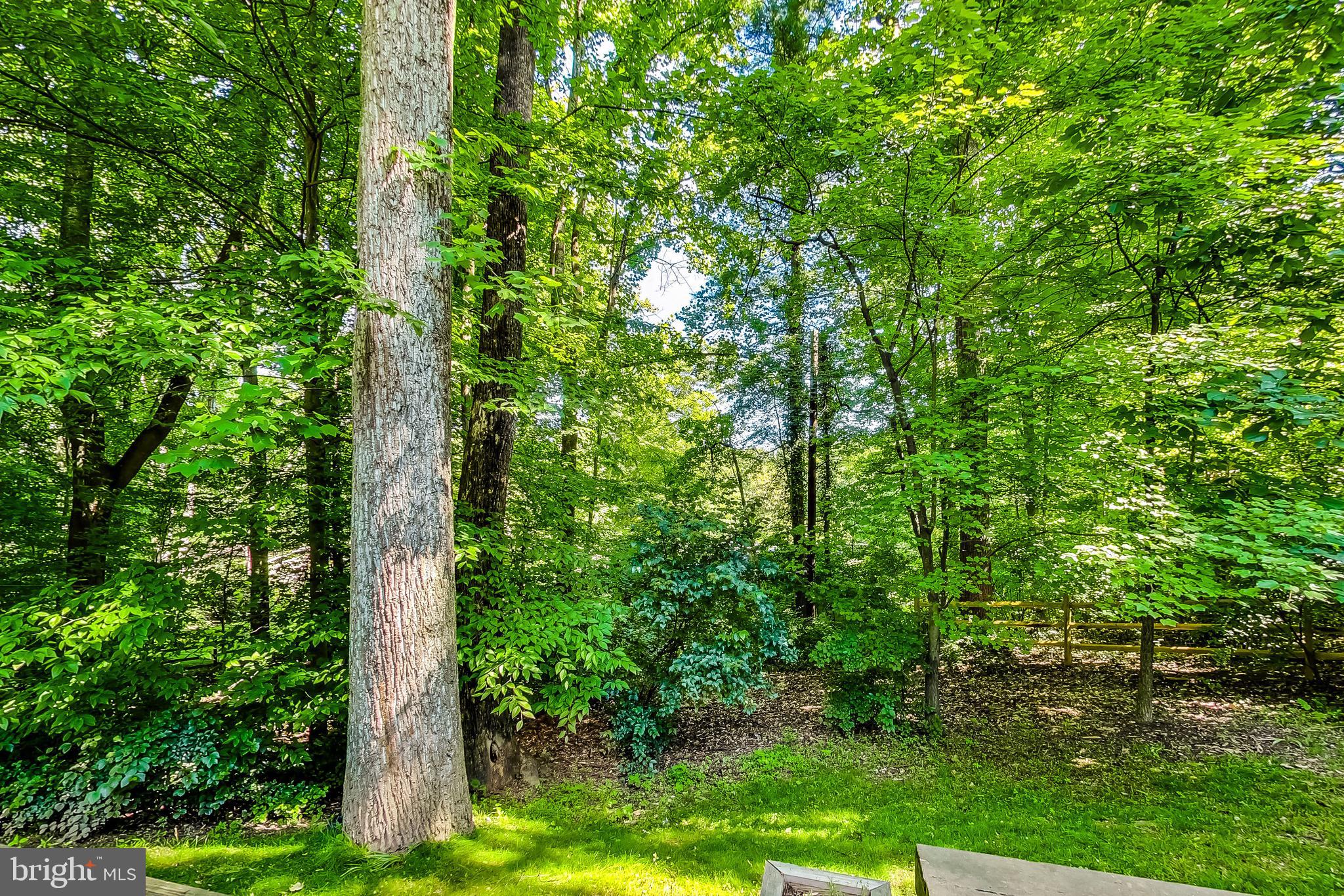 8312 STILL SPRING COURT