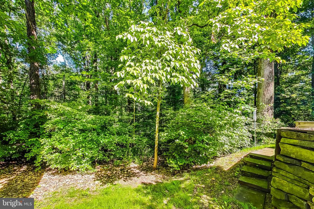 8312 STILL SPRING COURT