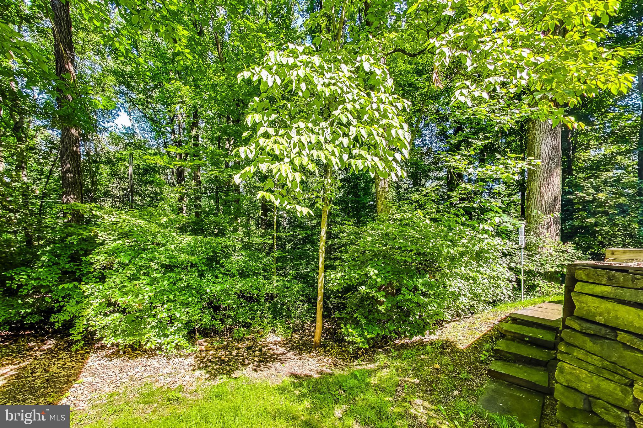 8312 STILL SPRING COURT