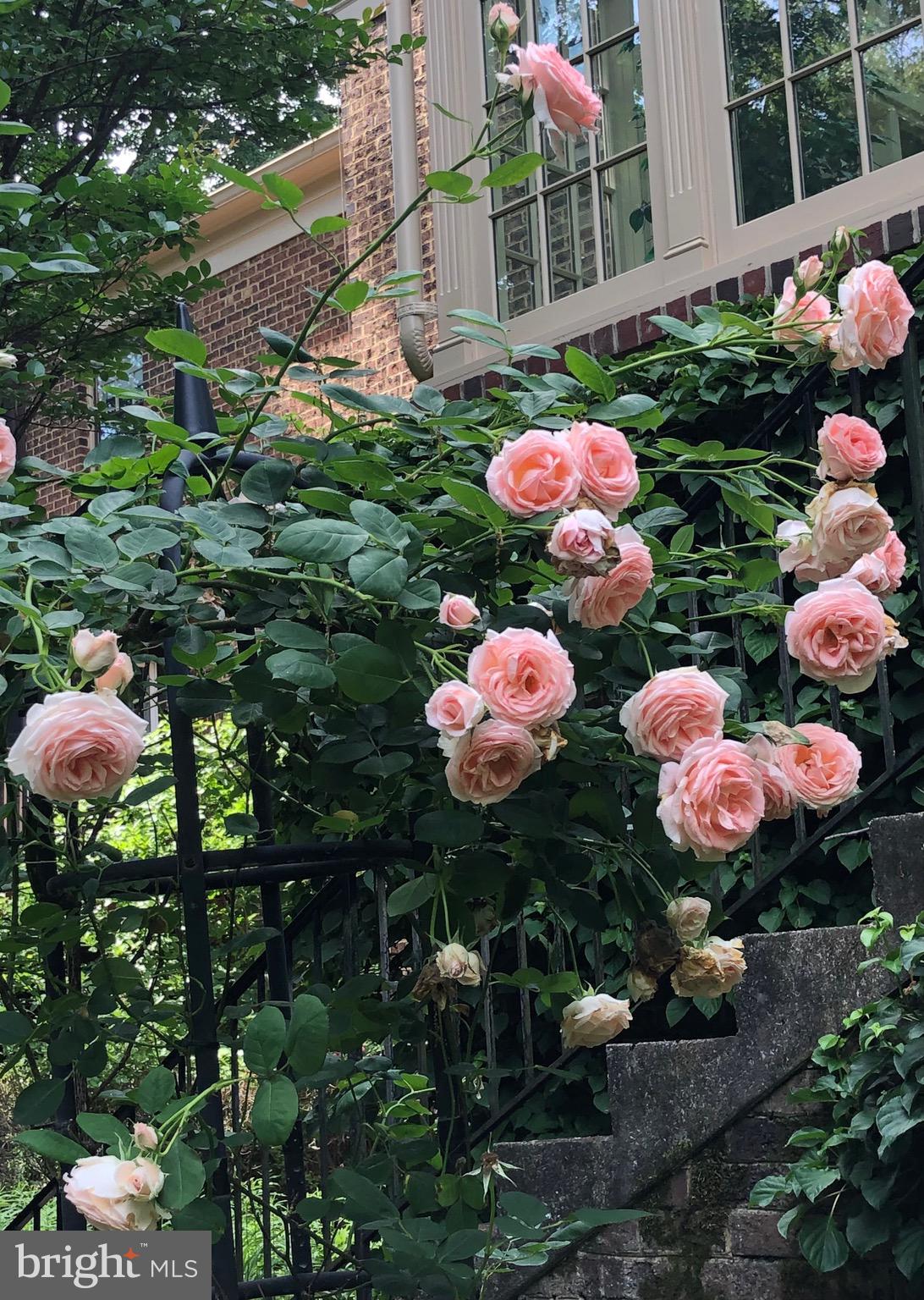 7104 HEATHWOOD COURT