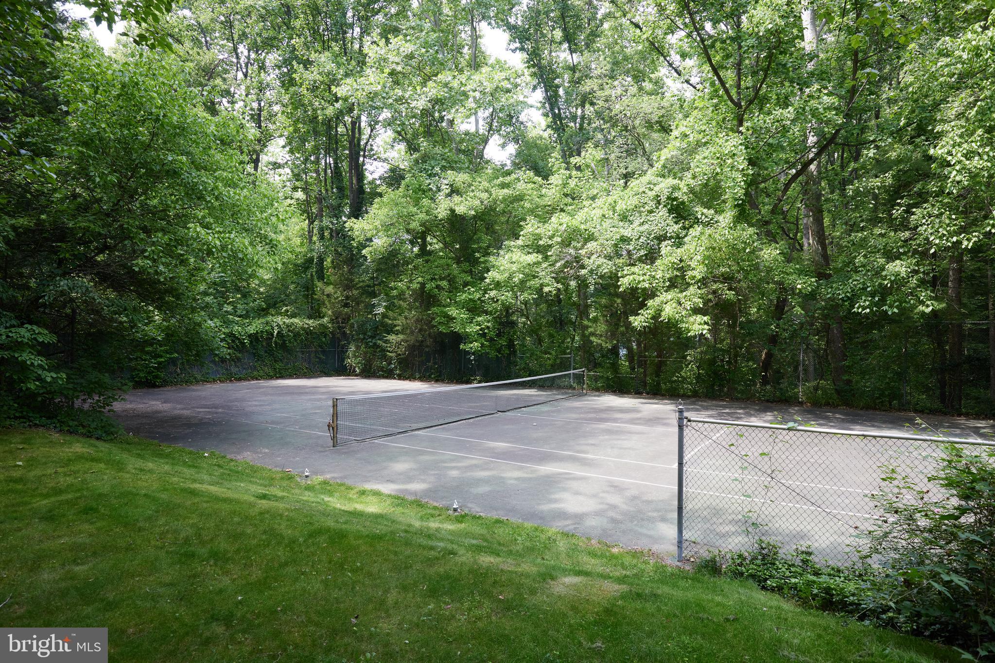 7811 CHARLESTON DRIVE