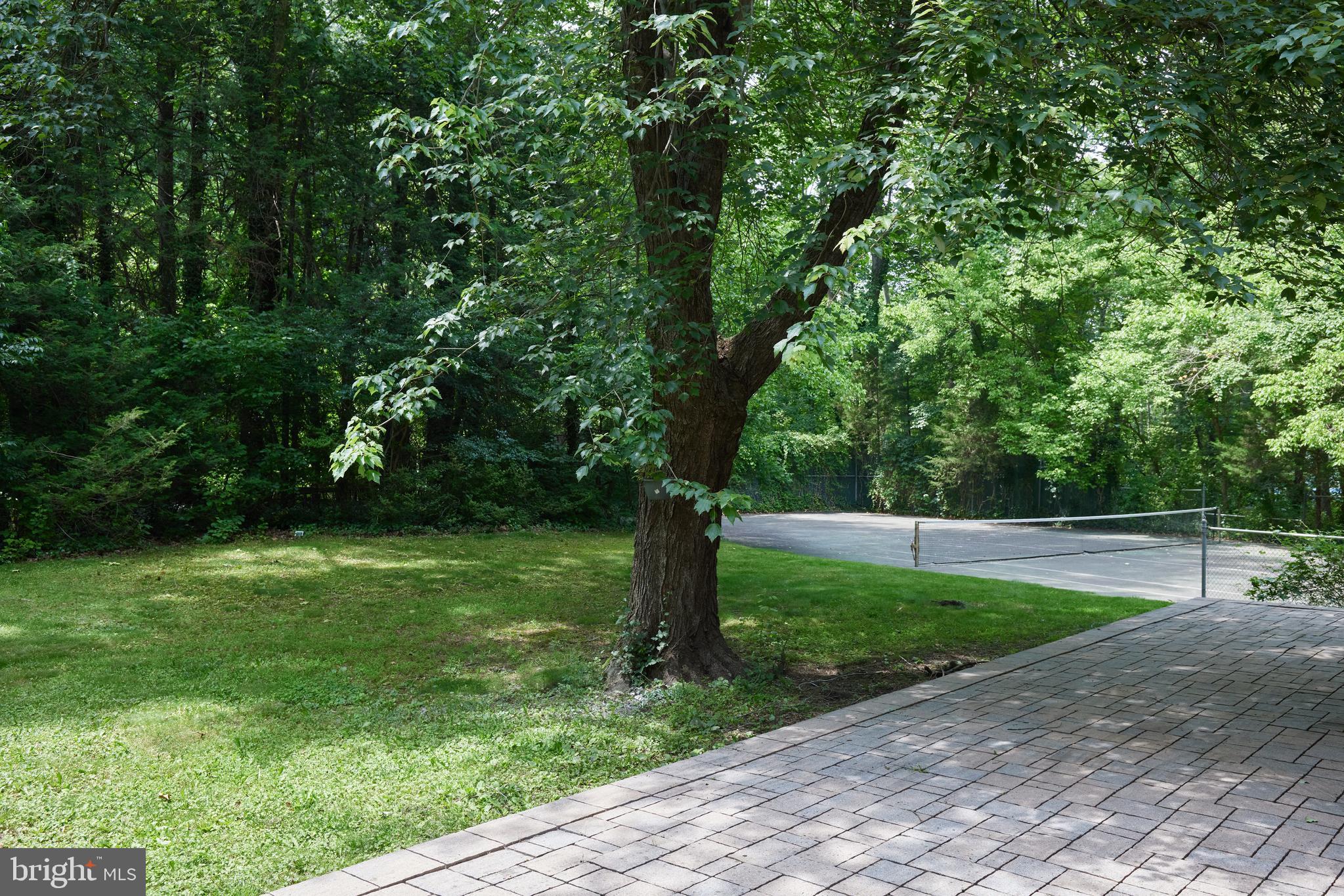 7811 CHARLESTON DRIVE