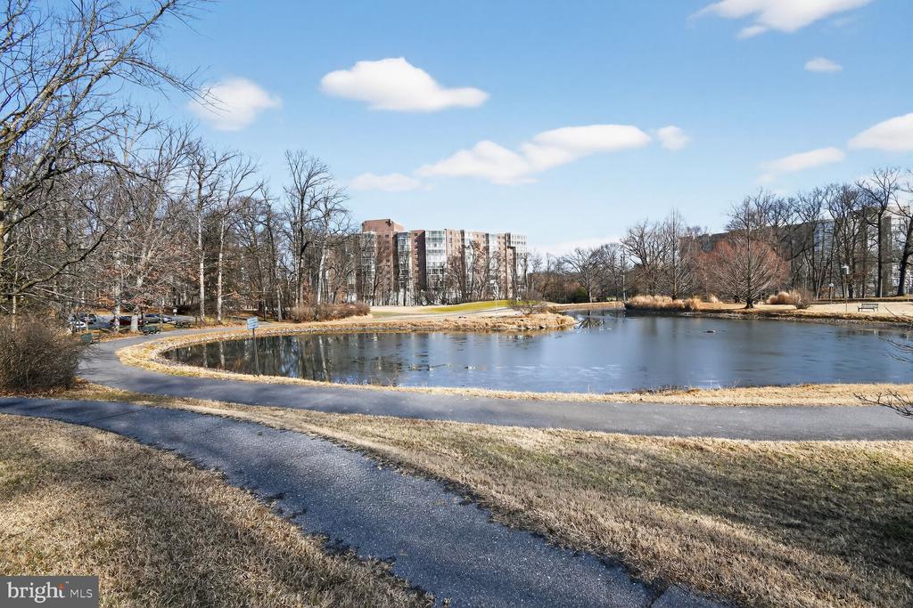 15115 INTERLACHEN DRIVE 3-904