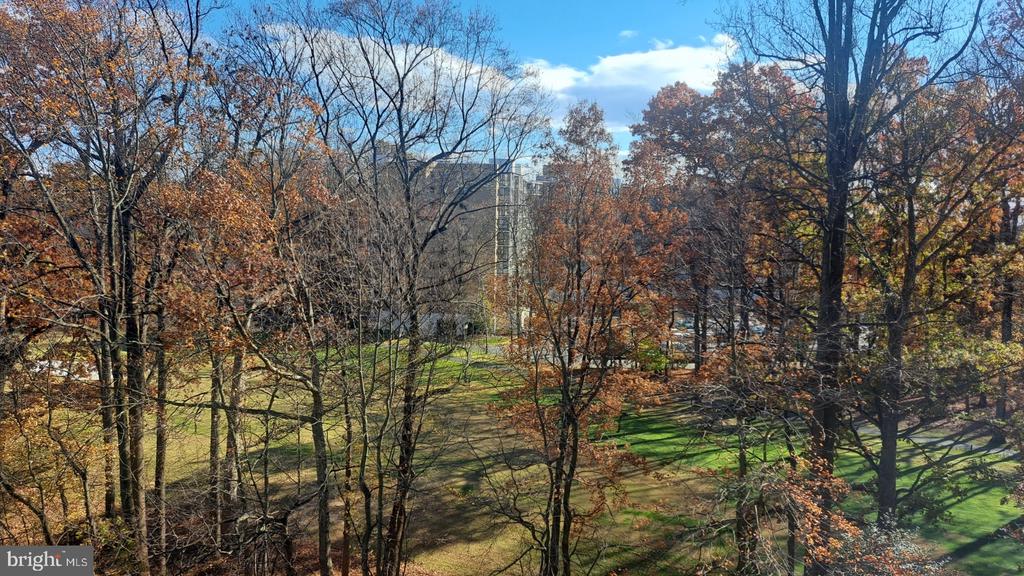 3310 N LEISURE WORLD BOULEVARD 627