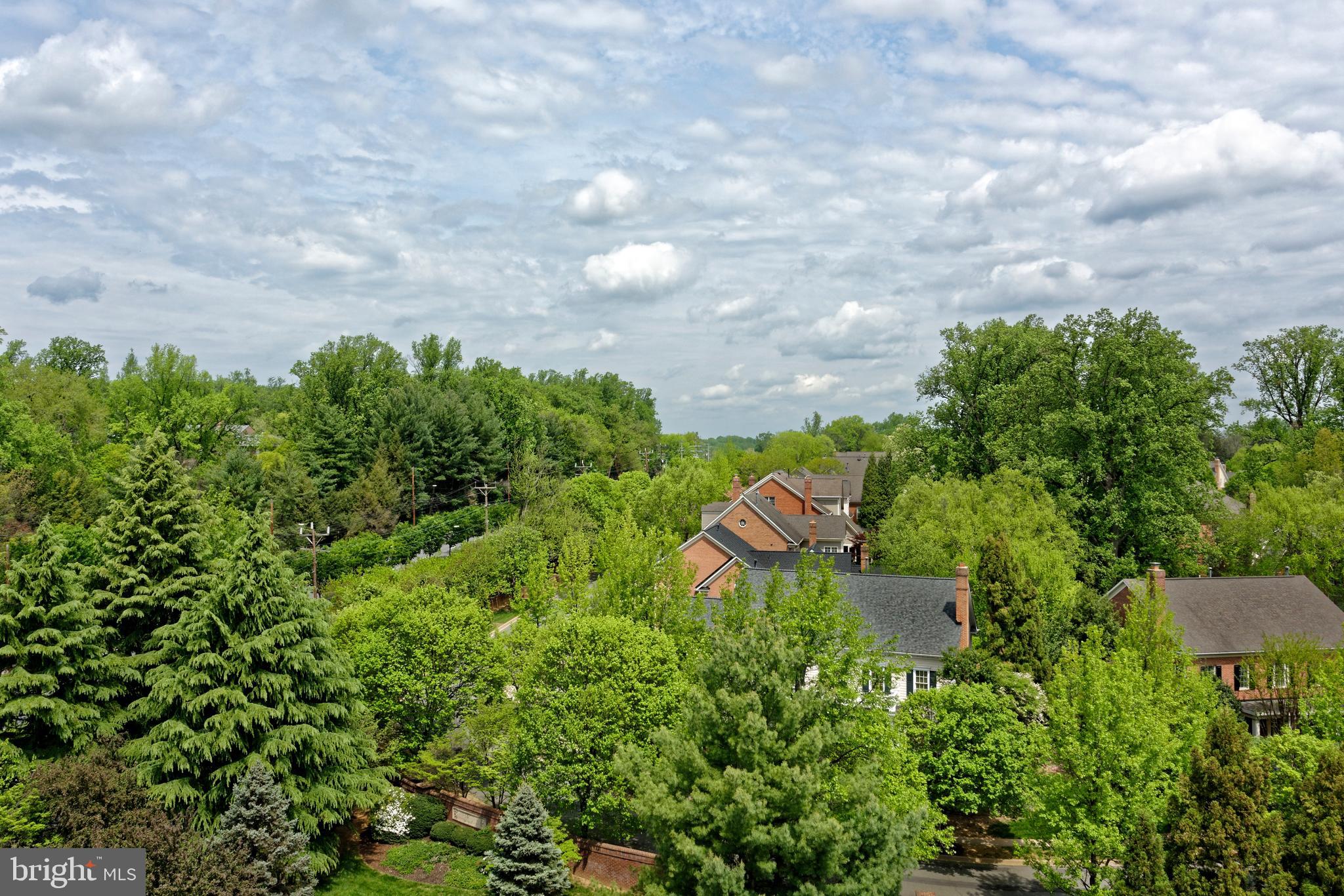 8551 CONNECTICUT AVENUE 207