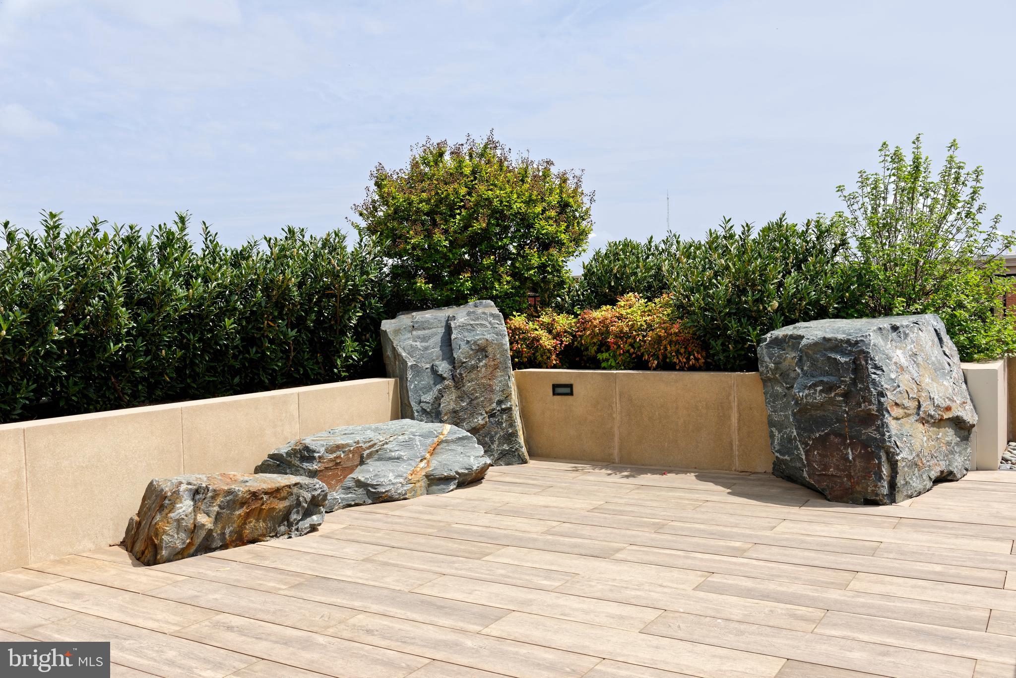 8551 CONNECTICUT AVENUE 207