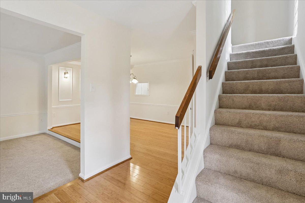 3708 GAWAYNE TERRACE 3708-3
