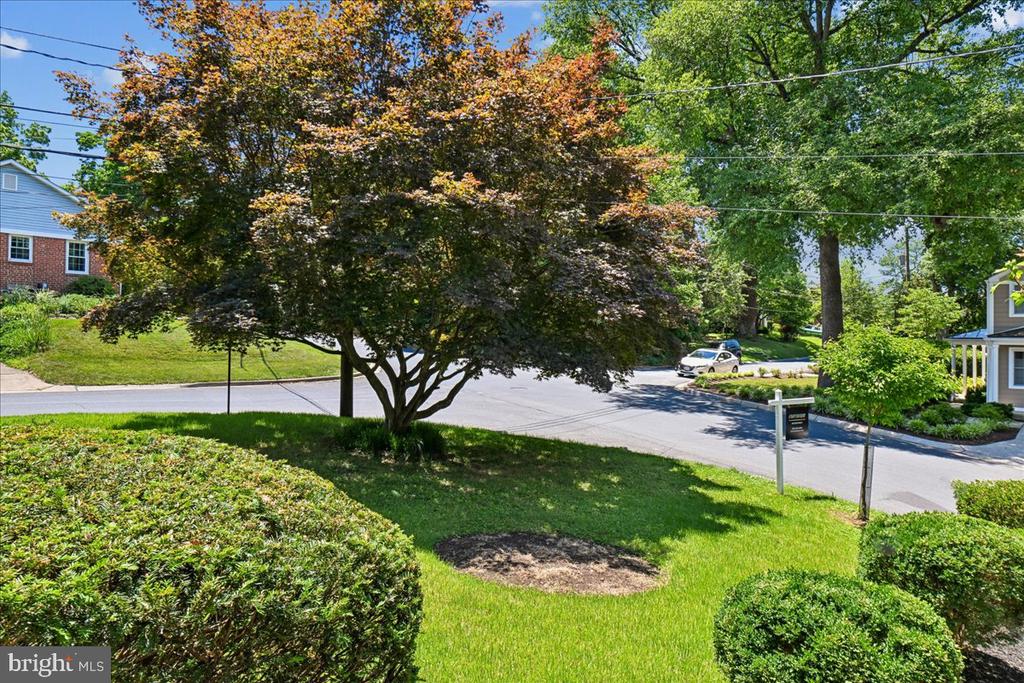 10211 BROOKMOOR DRIVE