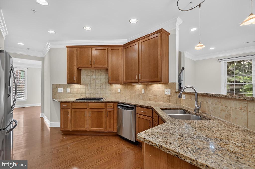 22172 FAIR GARDEN LANE