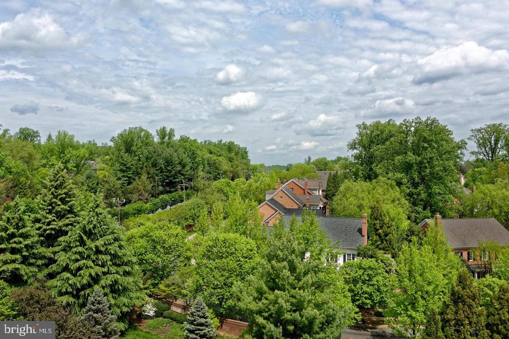 8551 CONNECTICUT AVENUE Unit: 207
