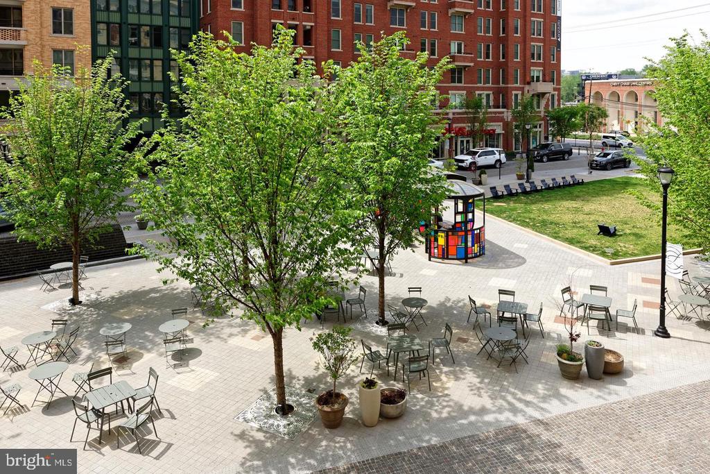 8551 CONNECTICUT AVENUE Unit: 207