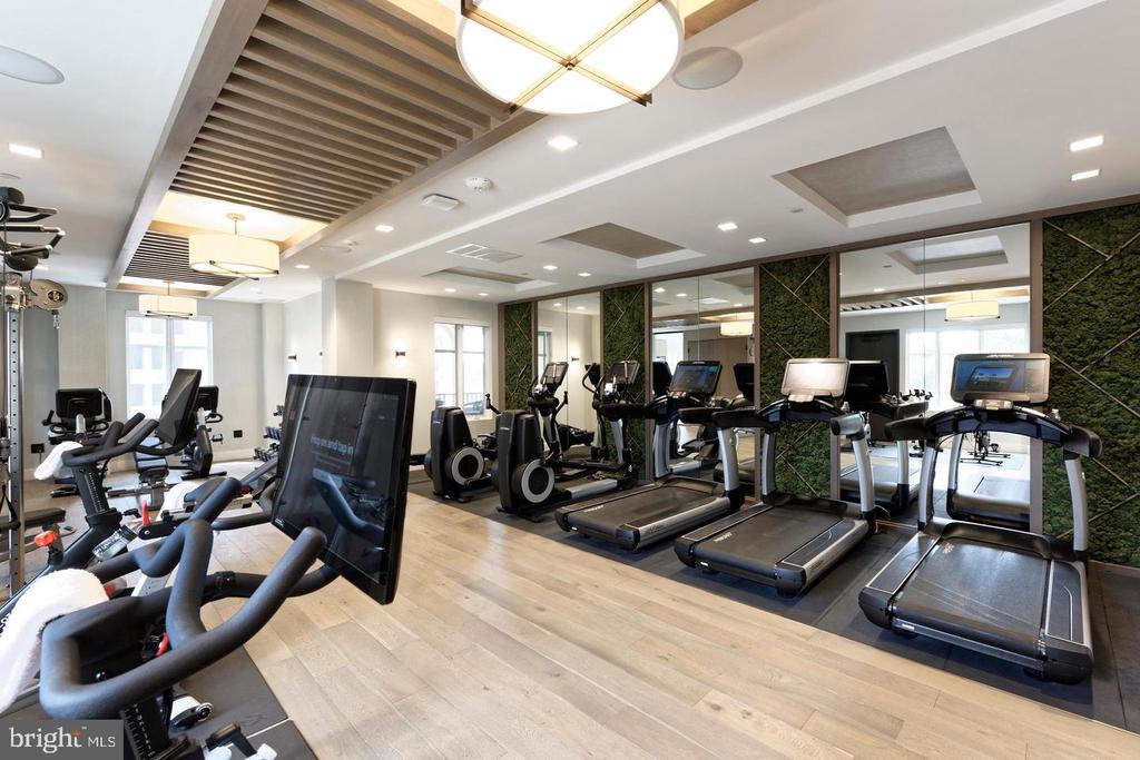 8551 CONNECTICUT AVENUE Unit: 207