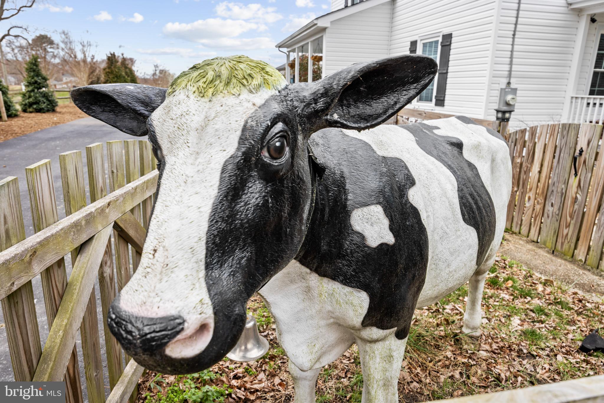 15000 CANDY HILL ROAD