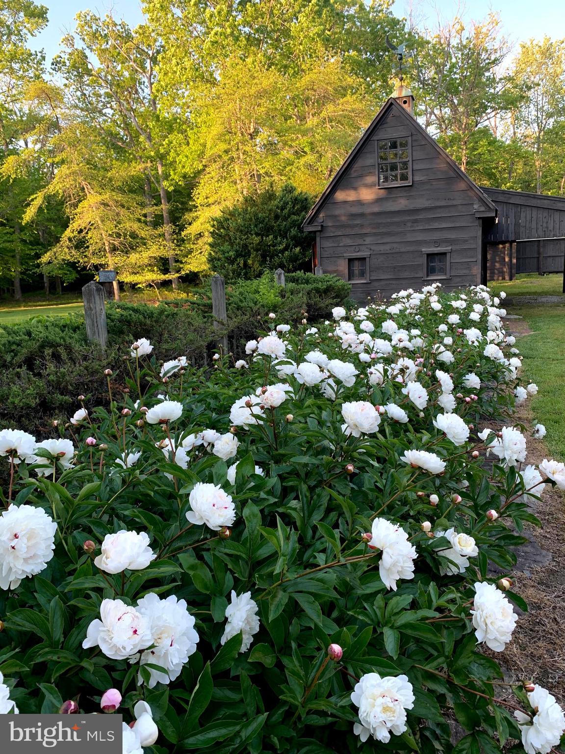 801 BRYAN POINT ROAD
