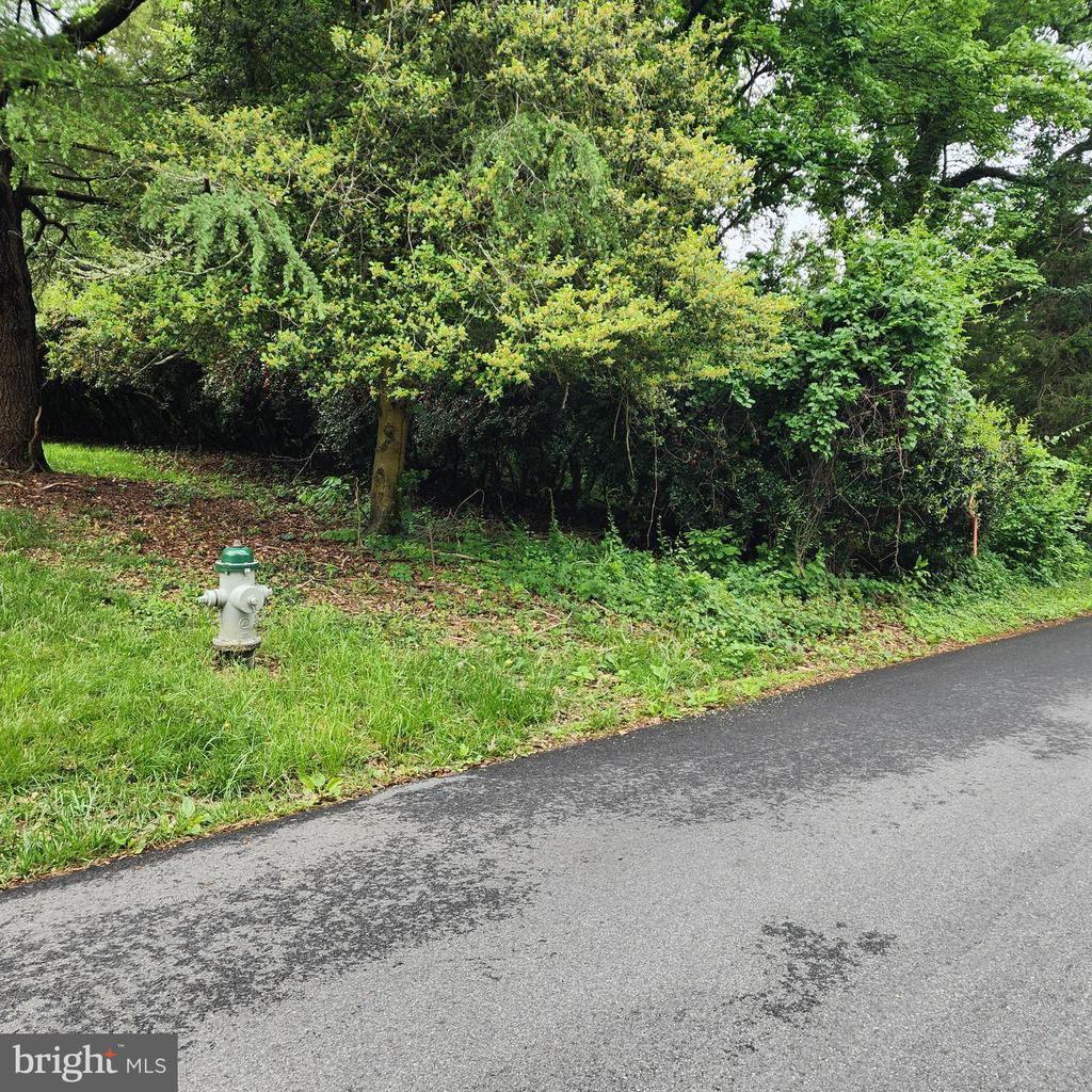 1019 BROADVIEW ROAD