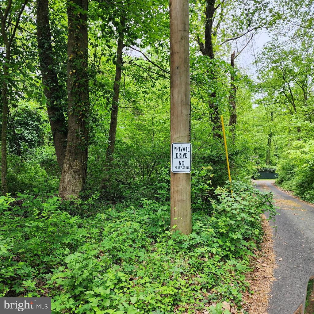 Wooded private driveway with a no trespassing sign on a utility pole.