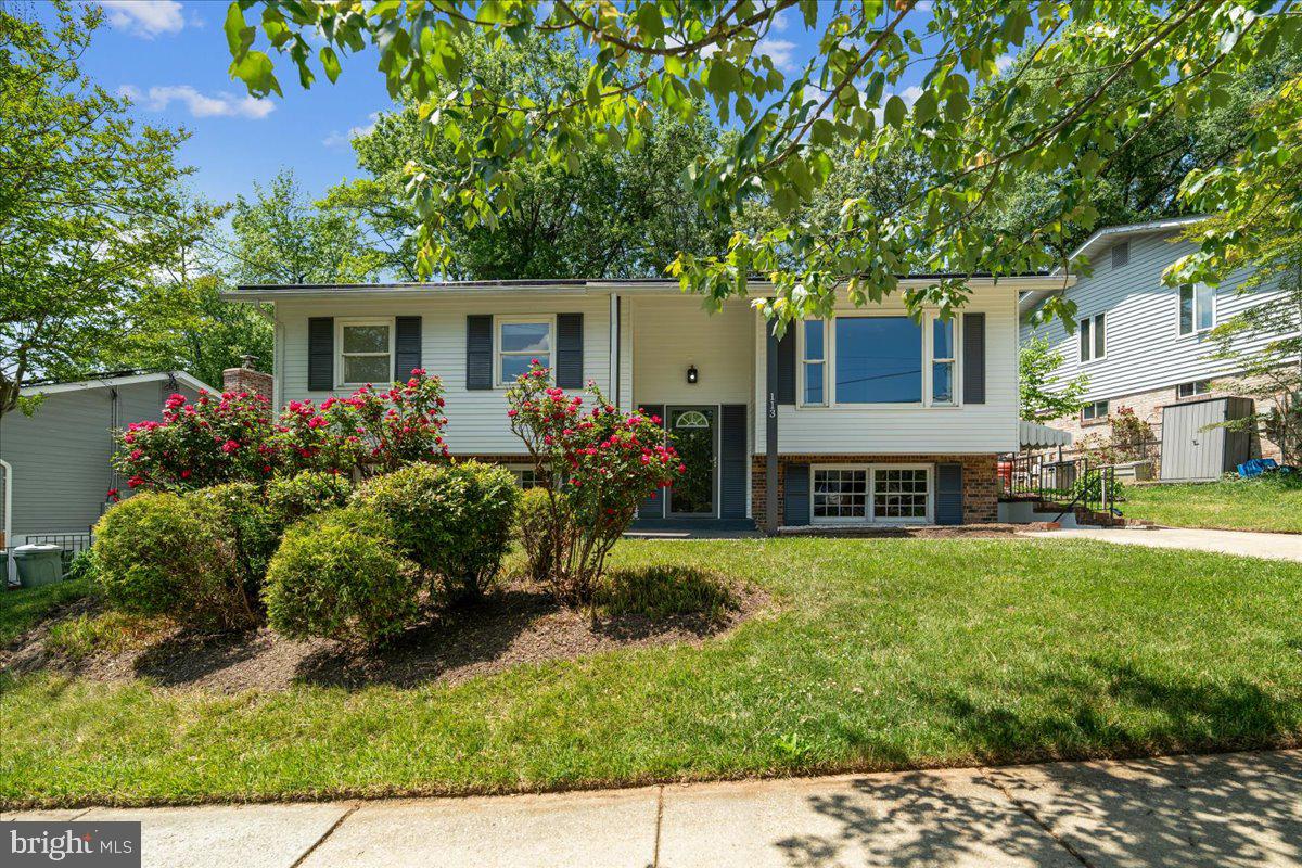113 ROSEWOOD DRIVE