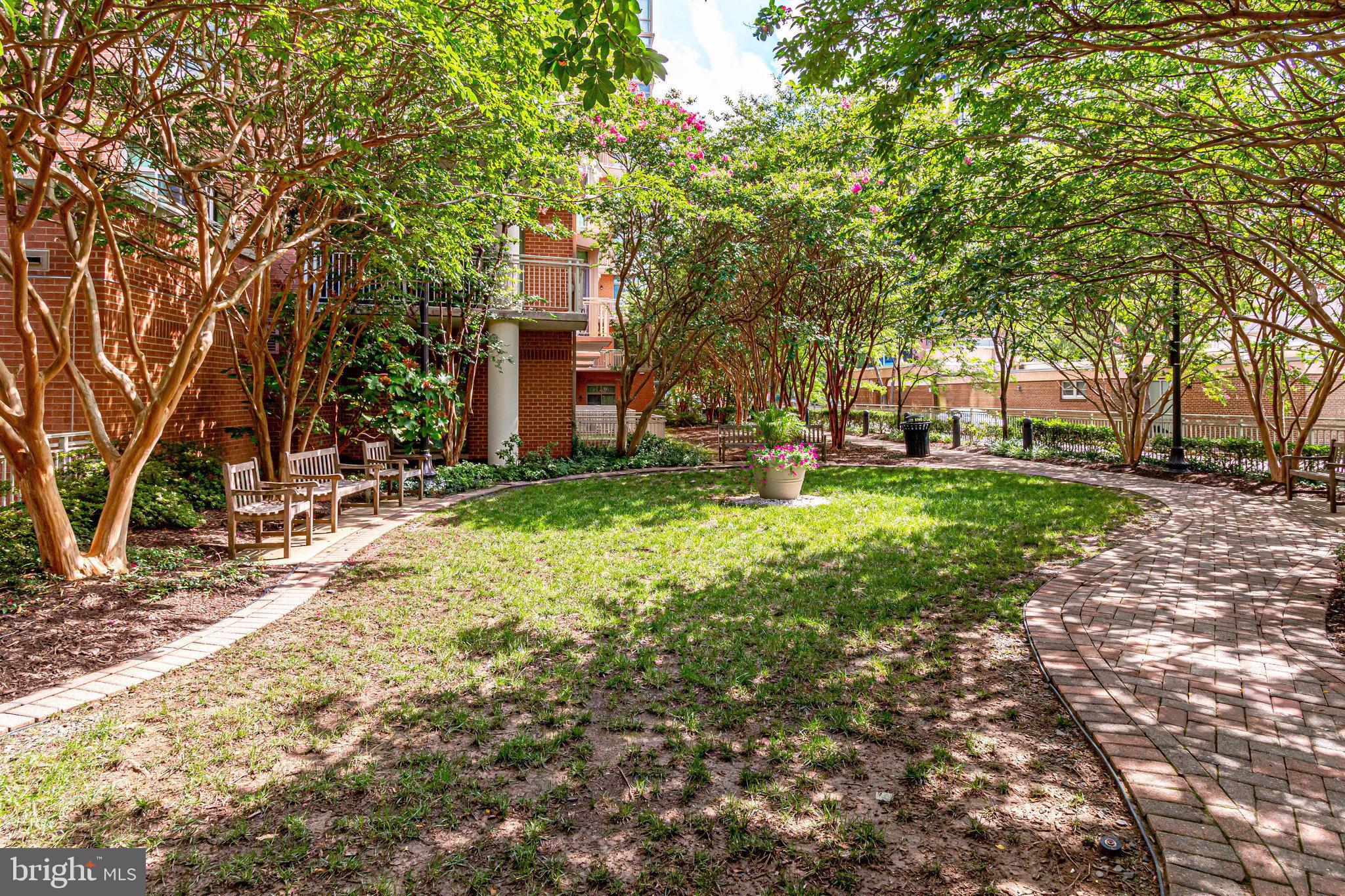 1000 N RANDOLPH STREET 209