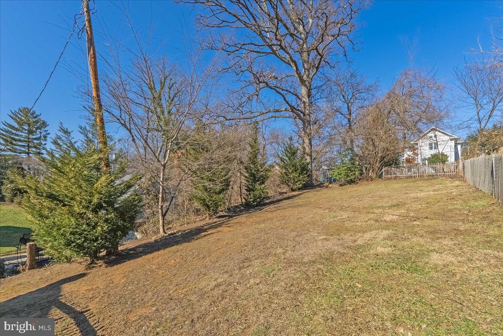 3209 OLD DOMINION DRIVE