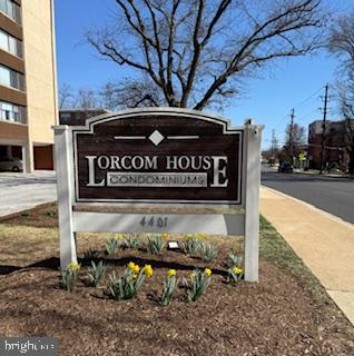 Orcom House Condominium sign at 441, bordered by yellow flowers beside the sidewalk.