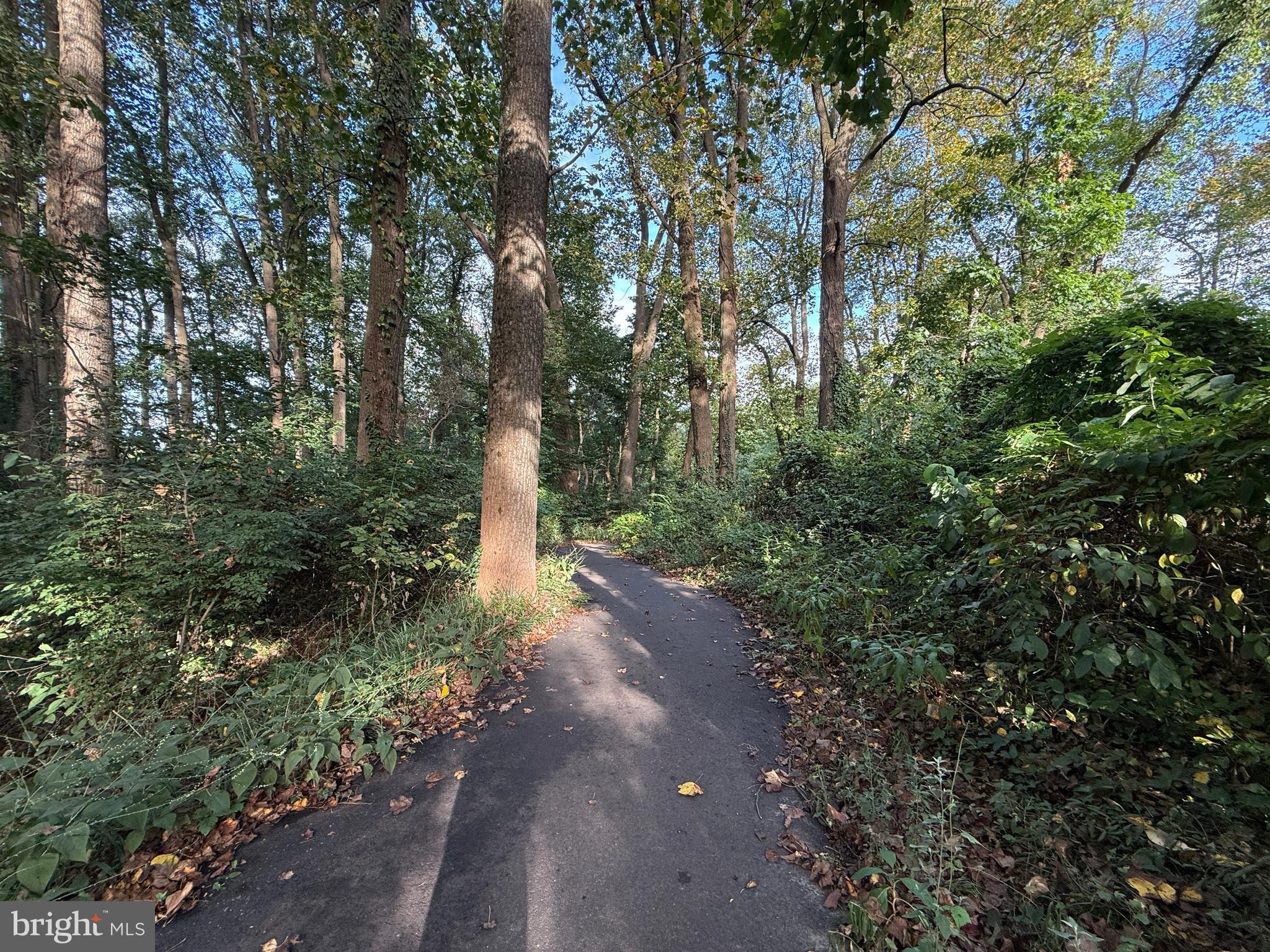 2313 N WAKEFIELD STREET