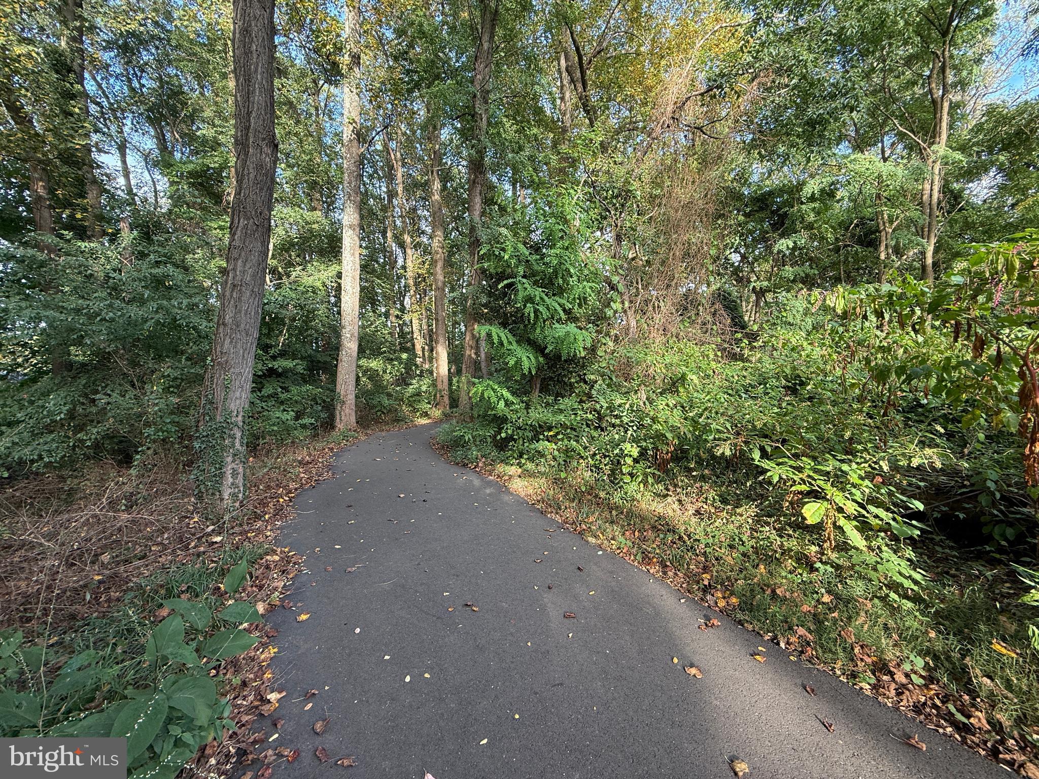 2313 N WAKEFIELD STREET