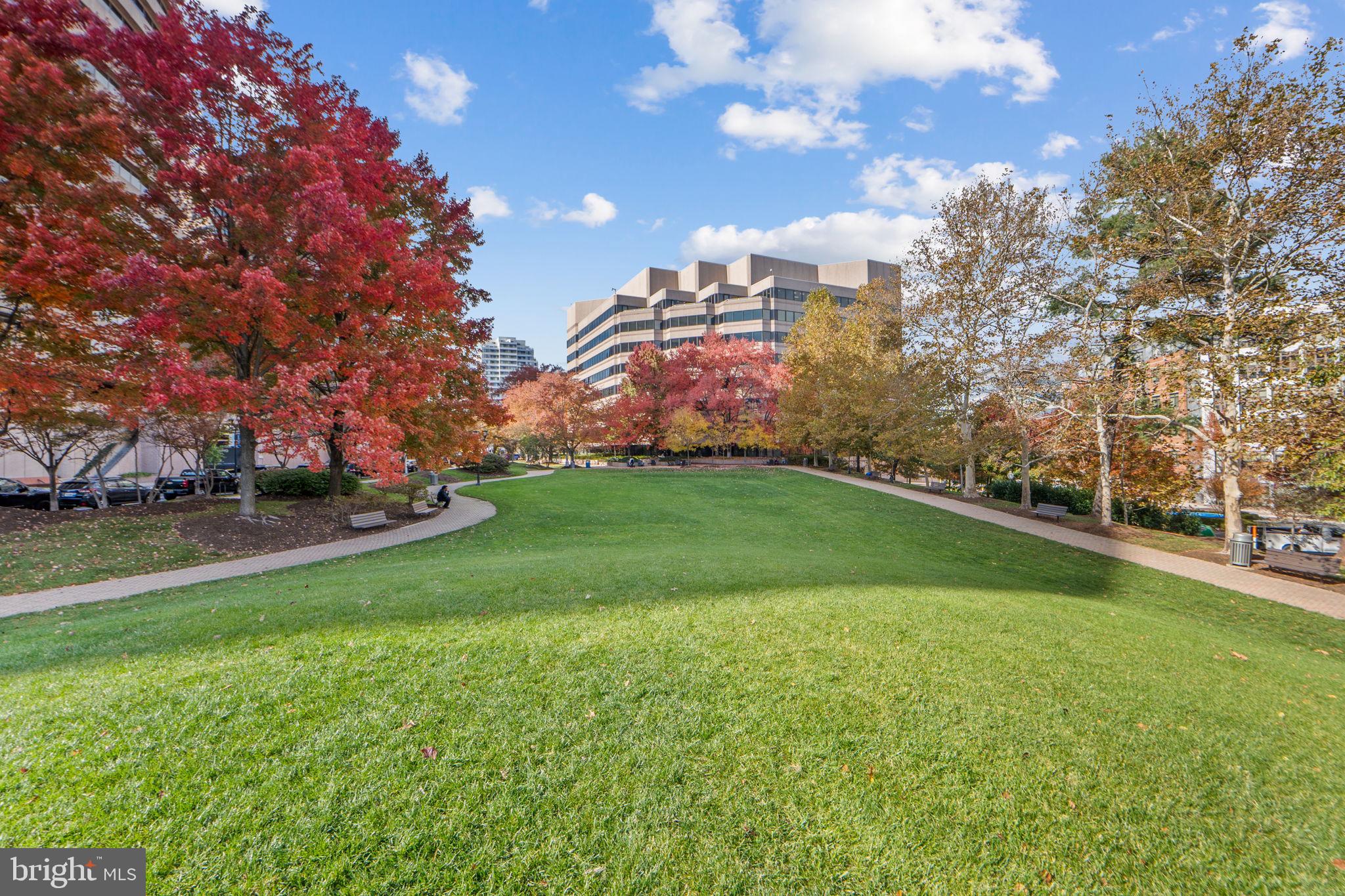 1200 CRYSTAL DRIVE 313