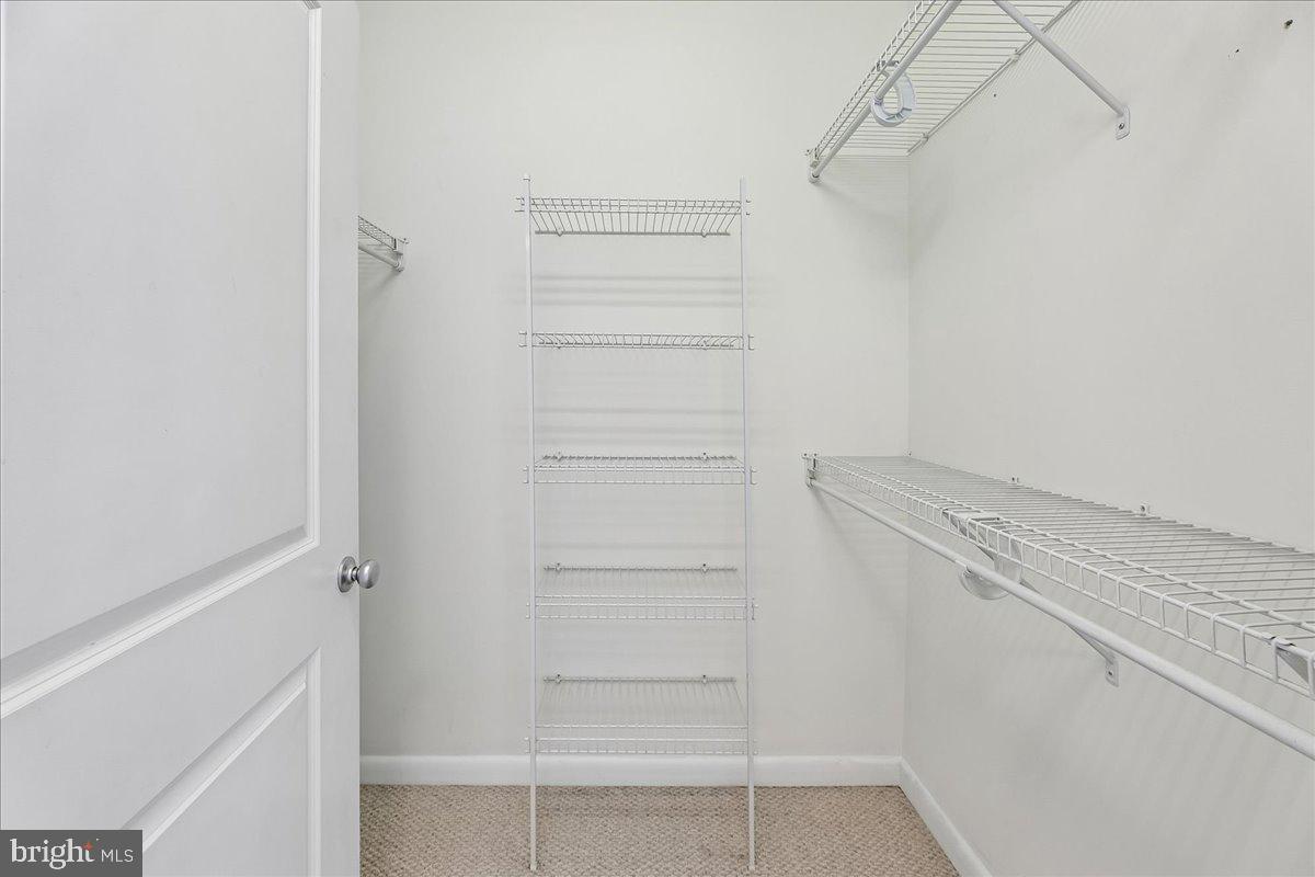 851 N GLEBE ROAD 1003