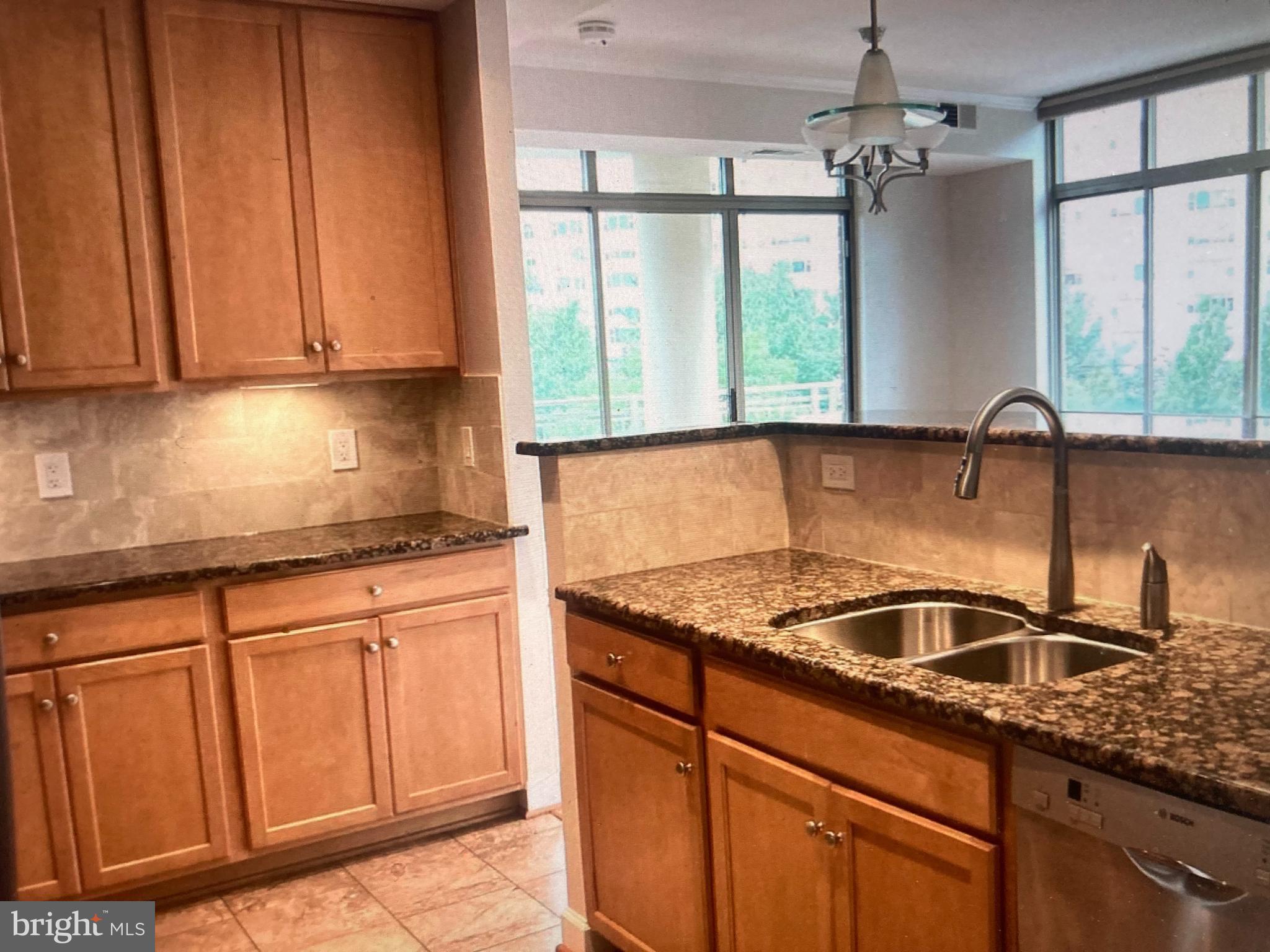 1001 RANDOLPH STREET N 509