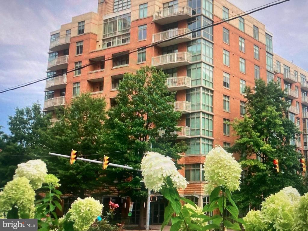 1000 N RANDOLPH STREET 509