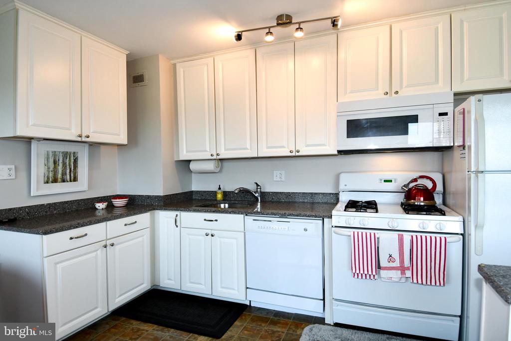 1200 S ARLINGTON RIDGE ROAD 704