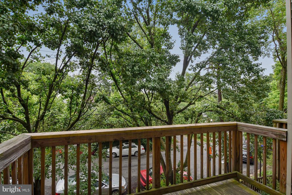 2107 N ROLFE STREET Unit: D