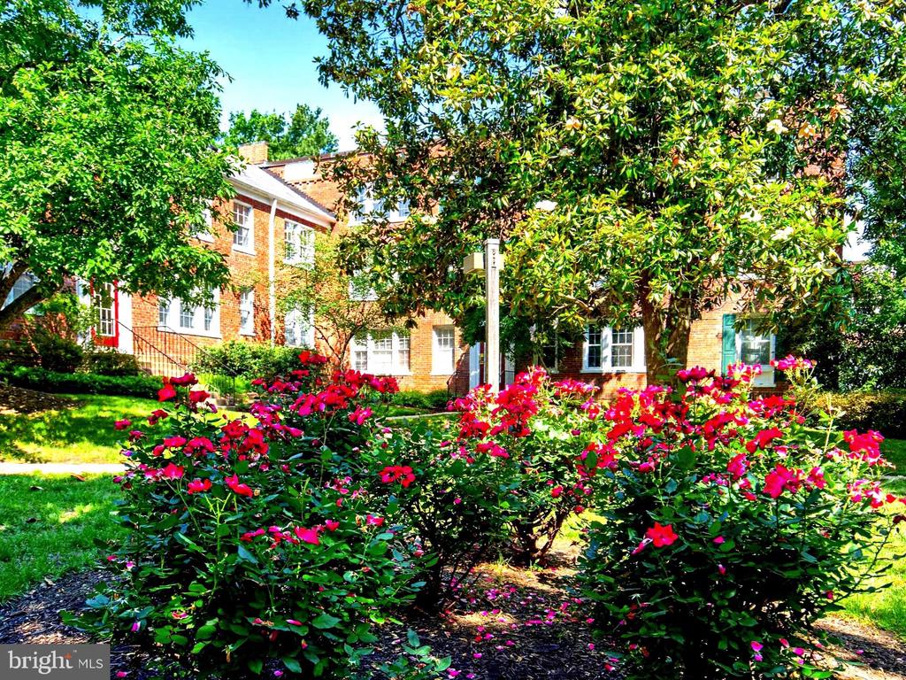 1811 KEY BOULEVARD Unit: 10532